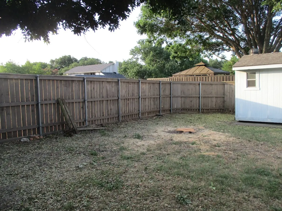 Cleared yard after professional tree removal in Jacksontown